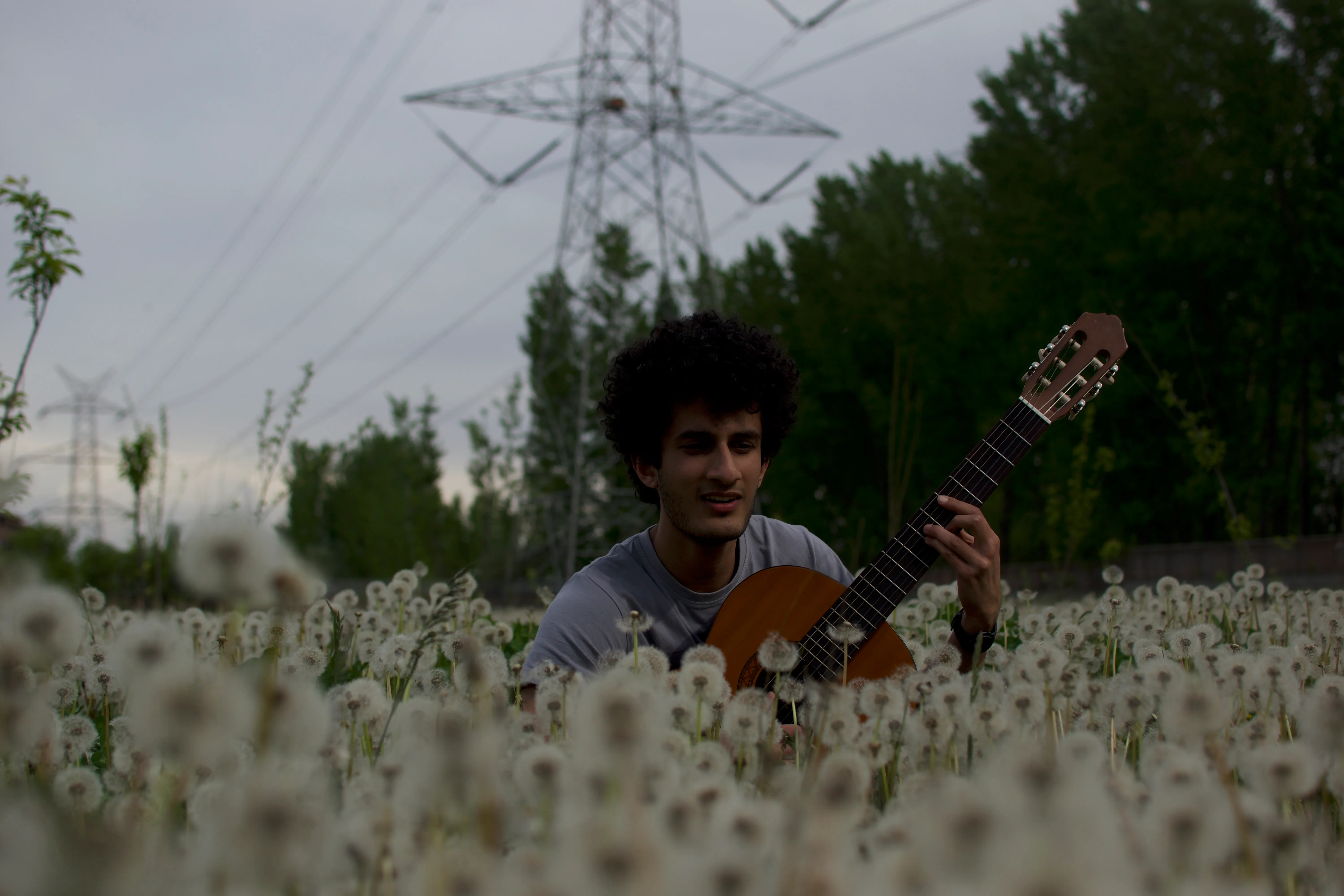 A man holding a classical guitar in a field covered with dandelions.